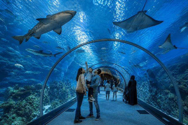 Aquarium tunnel experience in UAE