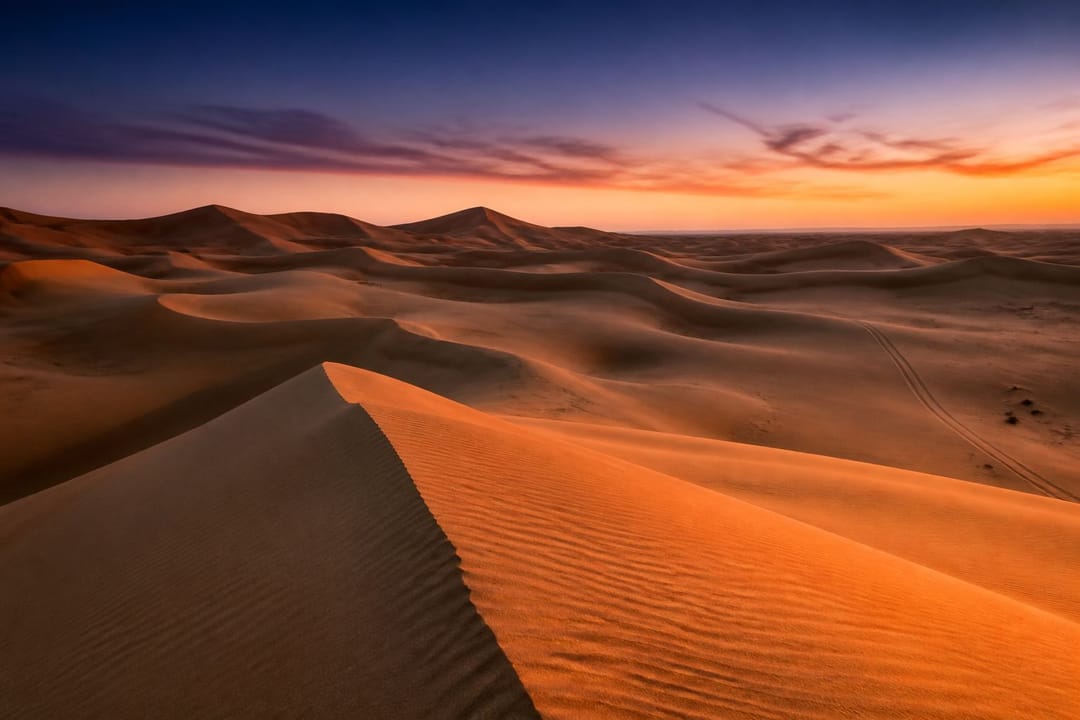 Desert at last light